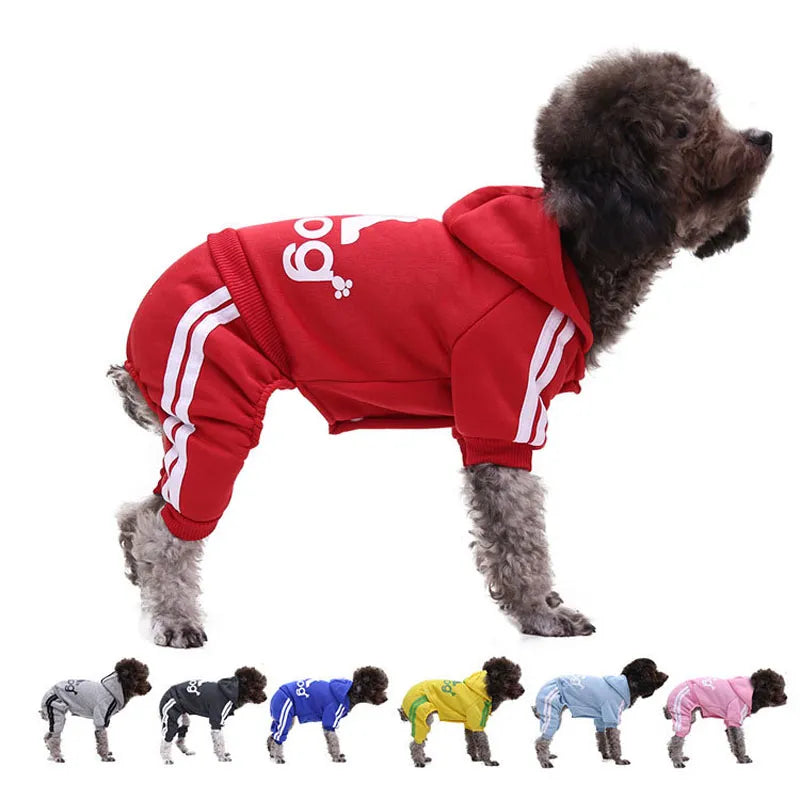 Adidog Four Legged Sweater