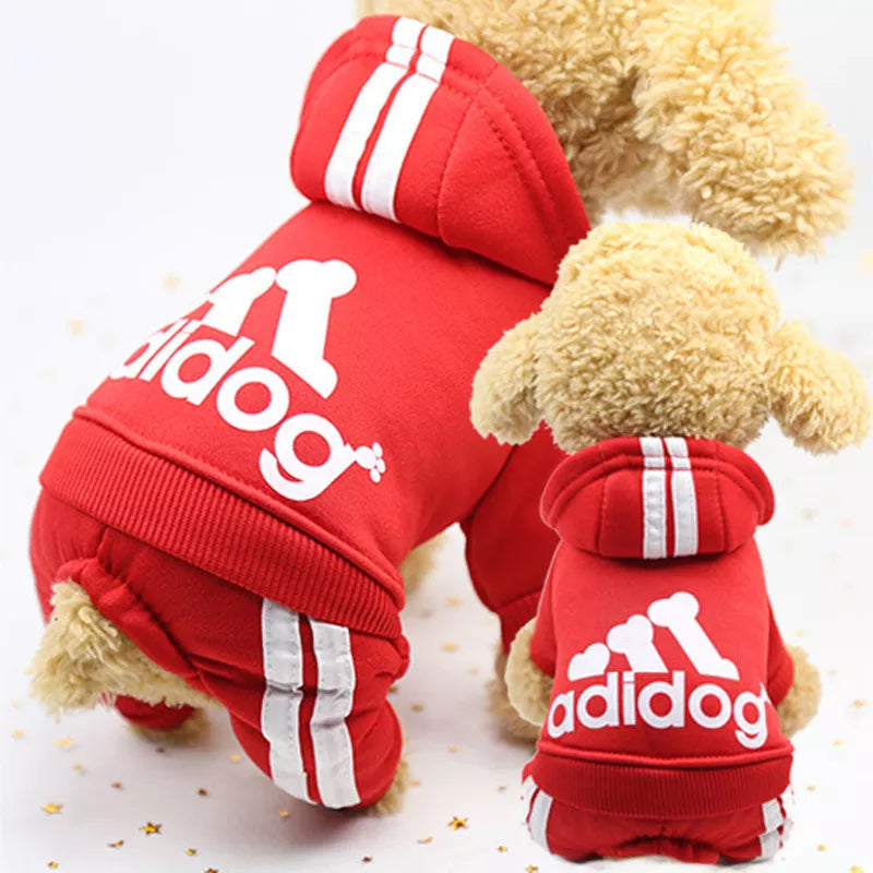 Adidog Four Legged Sweater