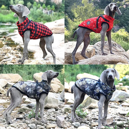 Dog Coat Jacket Fashion Sports