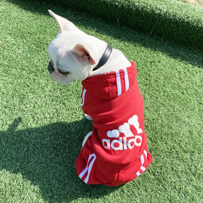 Adidog Four-Legged Sweater