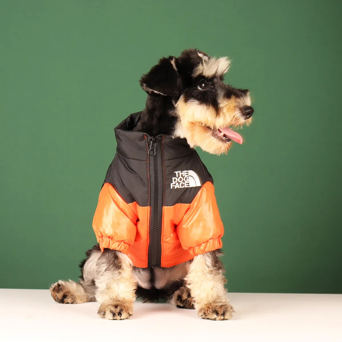 The Dog Face Windproof Jacket