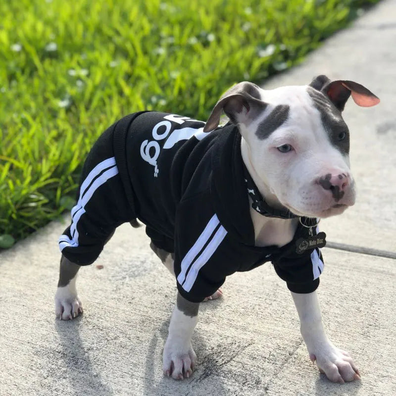 Adidog Four Legged Sweater