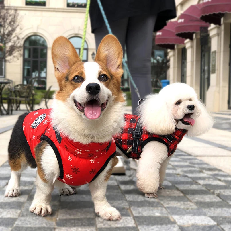 Dog Coat Jacket Fashion Sports